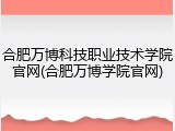 合肥万博科技职业技术学院官网(合肥万博学院官网)