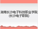 湖南长沙电子科技职业学院(长沙电子职院)