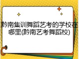 黔南集训舞蹈艺考的学校在哪里(黔南艺考舞蹈校)