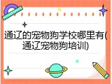 通辽的宠物狗学校哪里有(通辽宠物狗培训)