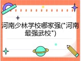河南少林学校哪家强("河南最强武校")