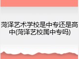 菏泽艺术学校是中专还是高中(菏泽艺校属中专吗)