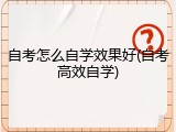 自考怎么自学效果好(自考高效自学)