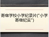 寄宿学校小学纪录片("小学寄宿纪实")