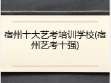 宿州十大艺考培训学校(宿州艺考十强)