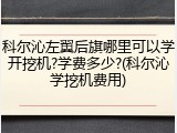 科尔沁左翼后旗哪里可以学开挖机?学费多少?(科尔沁学挖机费用)
