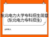 东北电力大学专科招生简章(东北电力专科招生)