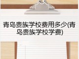 青岛贵族学校费用多少(青岛贵族学校学费)