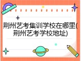 荆州艺考集训学校在哪里(荆州艺考学校地址)
