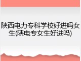 陕西电力专科学校好进吗女生(陕电专女生好进吗)