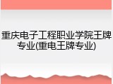 重庆电子工程职业学院王牌专业(重电王牌专业)