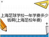 上海足球学校一年学费多少钱啊(上海足校年费)