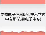 安徽电子信息职业技术学校中专部(安徽电子中专)