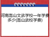 河南嵩山文武学校一年学费多少(嵩山武校学费)