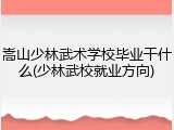 嵩山少林武术学校毕业干什么(少林武校就业方向)