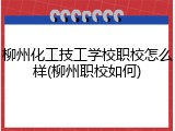 柳州化工技工学校职校怎么样(柳州职校如何)