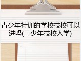 青少年特训的学校技校可以进吗(青少年技校入学)
