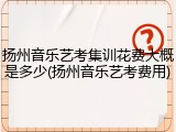 扬州音乐艺考集训花费大概是多少(扬州音乐艺考费用)