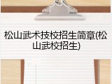 松山武术技校招生简章(松山武校招生)