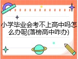 小学毕业会考不上高中吗怎么办呢(落榜高中咋办)