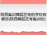 陕西集训舞蹈艺考的学校有哪些(陕西舞蹈艺考集训校)