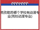 克孜勒苏哪个学校有动漫专业(克校动漫专业)