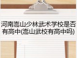 河南嵩山少林武术学校是否有高中(嵩山武校有高中吗)