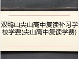 双鸭山尖山高中复读补习学校学费(尖山高中复读学费)