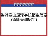 鲁能泰山足球学校招生简章(鲁能青训招生)