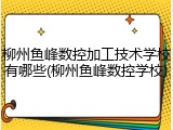 柳州鱼峰数控加工技术学校有哪些(柳州鱼峰数控学校)
