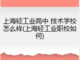 上海轻工业高中 技术学校怎么样(上海轻工业职校如何)