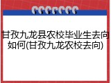甘孜九龙县农校毕业生去向如何(甘孜九龙农校去向)