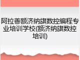 阿拉善额济纳旗数控编程专业培训学校(额济纳旗数控培训)