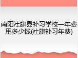 南阳社旗县补习学校一年费用多少钱(社旗补习年费)