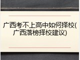 广西考不上高中如何择校(广西落榜择校建议)
