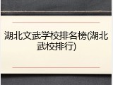 湖北文武学校排名榜(湖北武校排行)