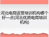 河北电商运营培训机构哪个好一点(河北优质电商培训机构)