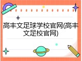 高丰文足球学校官网(高丰文足校官网)