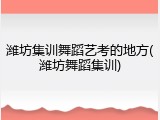 潍坊集训舞蹈艺考的地方(潍坊舞蹈集训)