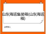 山东海运集装箱(山东海运箱)