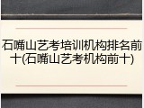 石嘴山艺考培训机构排名前十(石嘴山艺考机构前十)