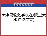 天水宠物狗学校在哪里(天水狗校位置)