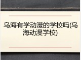 乌海有学动漫的学校吗(乌海动漫学校)