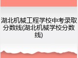 湖北机械工程学校中考录取分数线(湖北机械学校分数线)