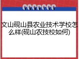 文山砚山县农业技术学校怎么样(砚山农技校如何)