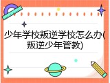 少年学校叛逆学校怎么办(叛逆少年管教)