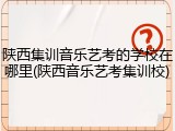 陕西集训音乐艺考的学校在哪里(陕西音乐艺考集训校)