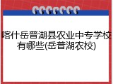 喀什岳普湖县农业中专学校有哪些(岳普湖农校)
