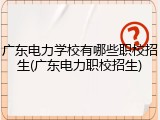 广东电力学校有哪些职校招生(广东电力职校招生)