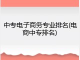 中专电子商务专业排名(电商中专排名)